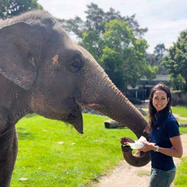 Elephant-physio Elephant Physio