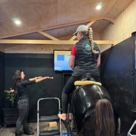 NZAVPA-on-horse Racewood Simulator