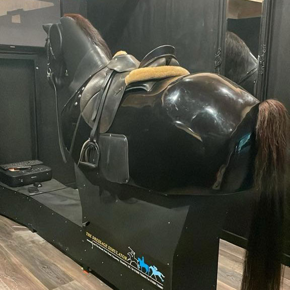 Riding-Model-Horse-1 Racewood Simulator