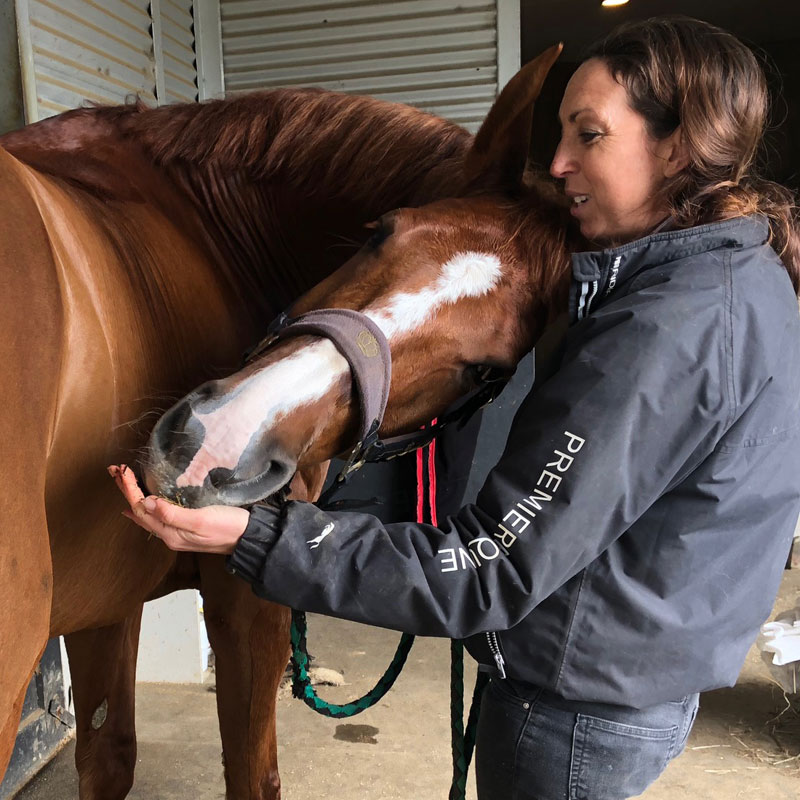 core-physio-carrotsq Carrot Stretch