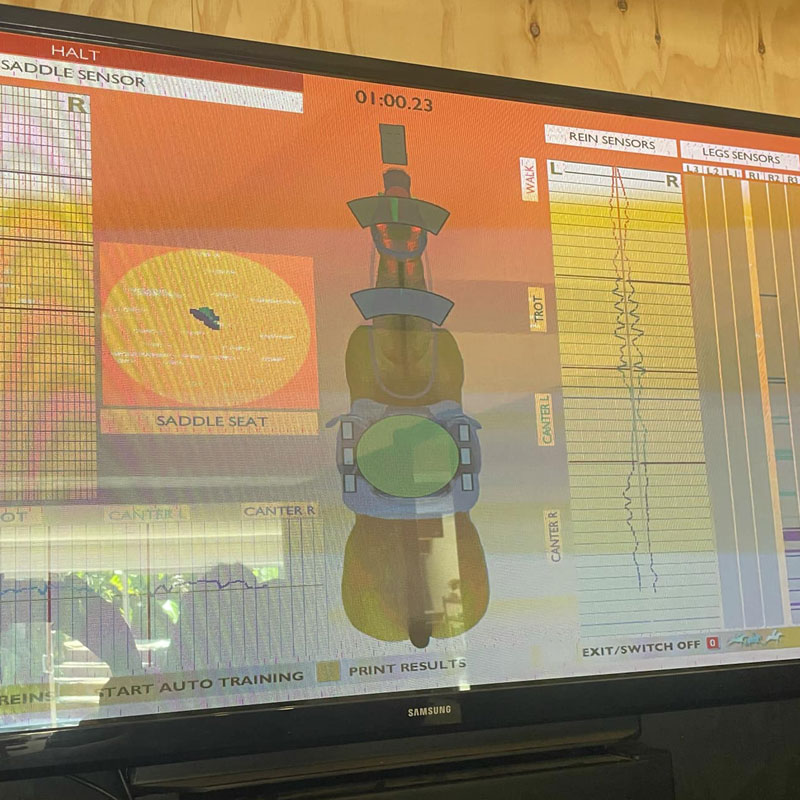 simulator-screen